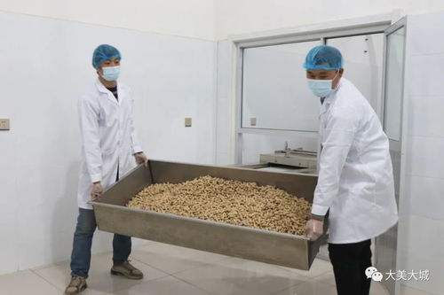 大城縣小微企業轉型初探 專注舌尖上的品質 市場調研