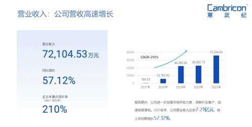 深耕行業客戶，寒武紀加速場景落地市場調研分析