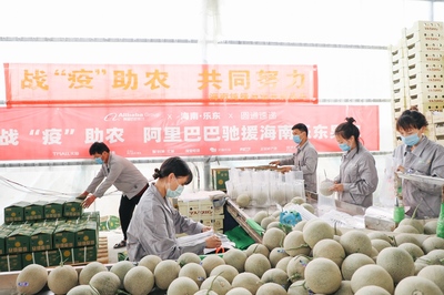 愛心助農(nóng)打通產(chǎn)銷路，阿里巴巴“搶收”滯銷農(nóng)產(chǎn)品直供北上廣